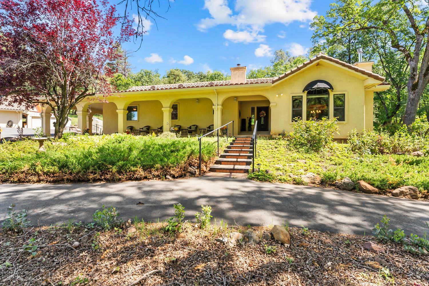 Gallery Image 7