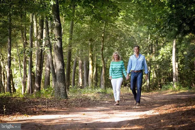 a backyard of a house with lots of trees
