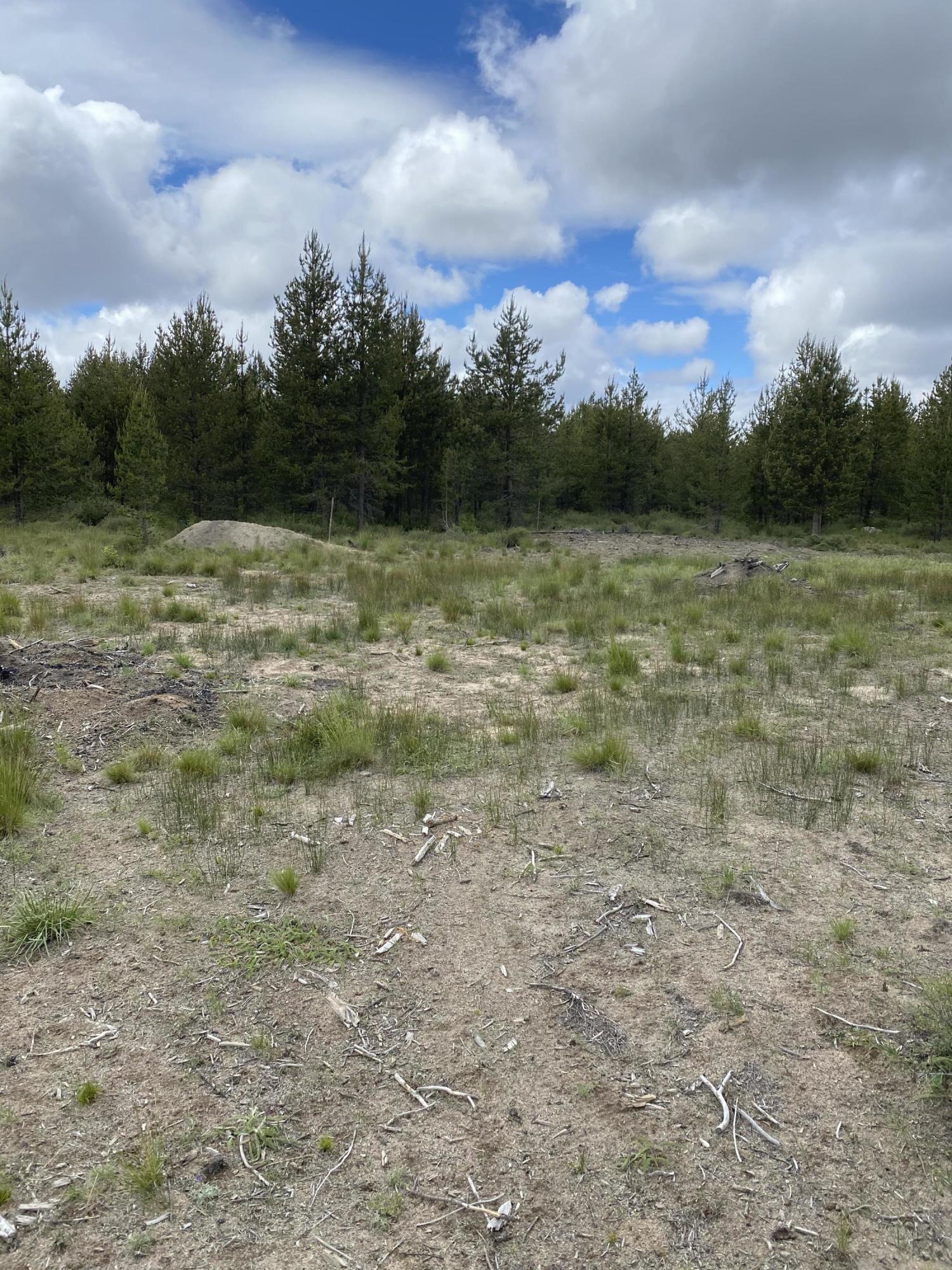 55145 Tamarack Road Bend, OR 97707 - Photo 2 of 5 IMG-0130