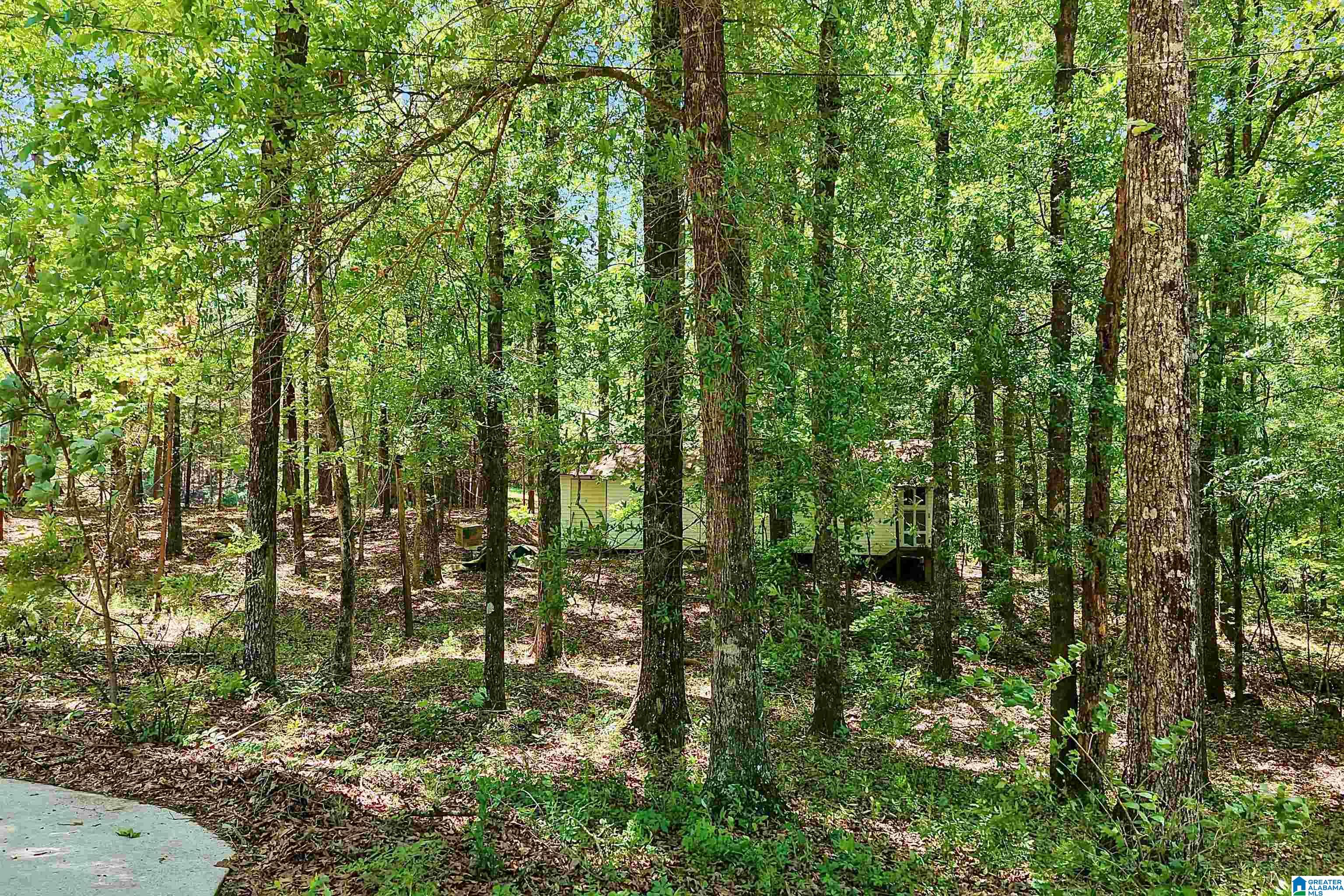360 Cornelia Road Brierfield, AL 35035 - Photo 63 of 67