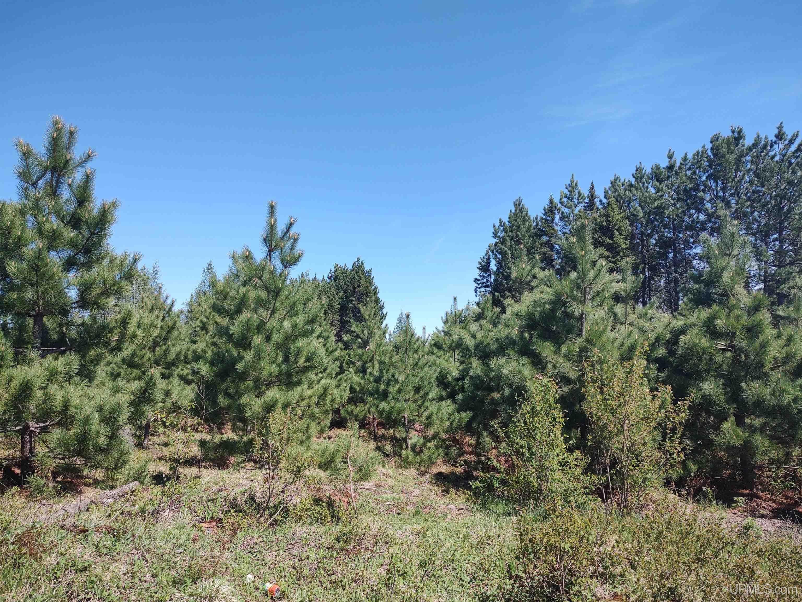 58-acres Co Rd Fn Road Champion, MI 49814 - Photo 24 of 27