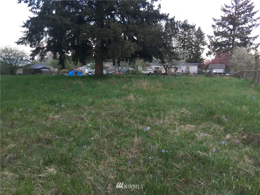 5741 180th Avenue Southwest Rochester, WA 98579 - Photo 3 of 21