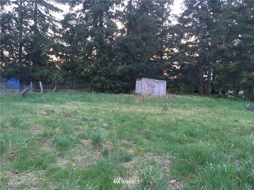 5741 180th Avenue Southwest Rochester, WA 98579 - Photo 4 of 21