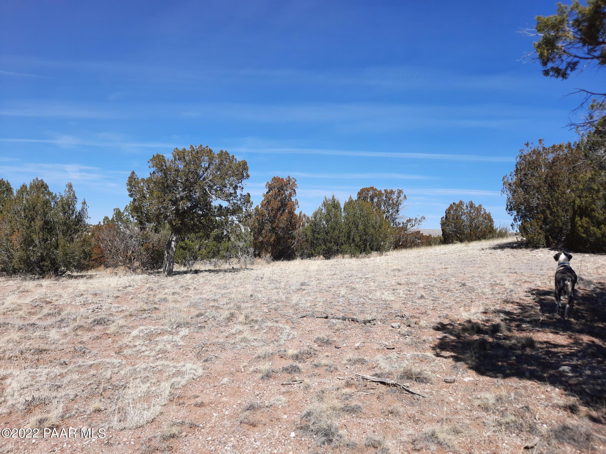 Lot 98 Bucks Road Seligman, AZ 86337 - Photo 1 of 16 cover