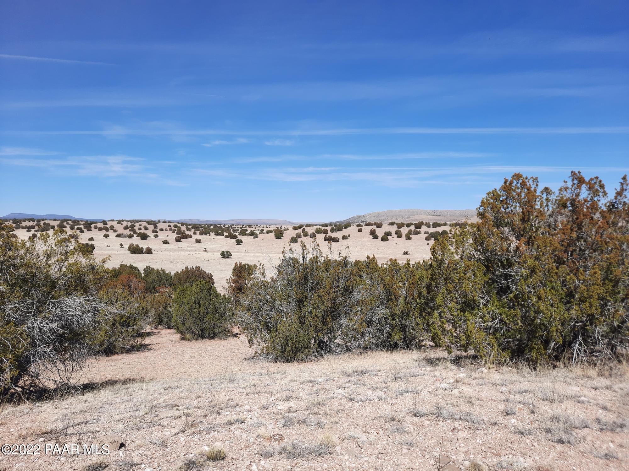 Lot 98 Bucks Road Seligman, AZ 86337 - Photo 12 of 16 20220315_120346