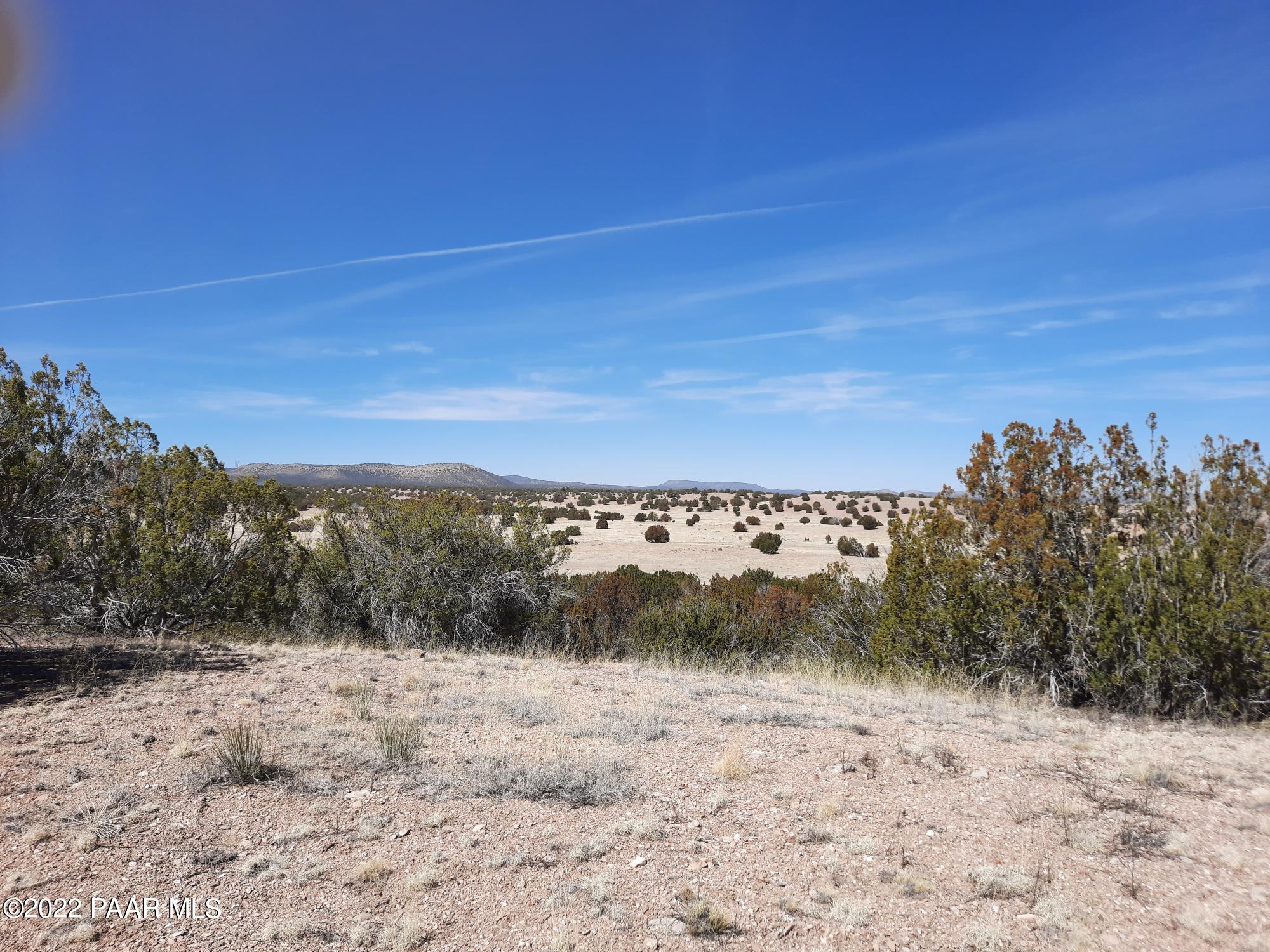 Lot 98 Bucks Road Seligman, AZ 86337 - Photo 14 of 16 20220315_120415