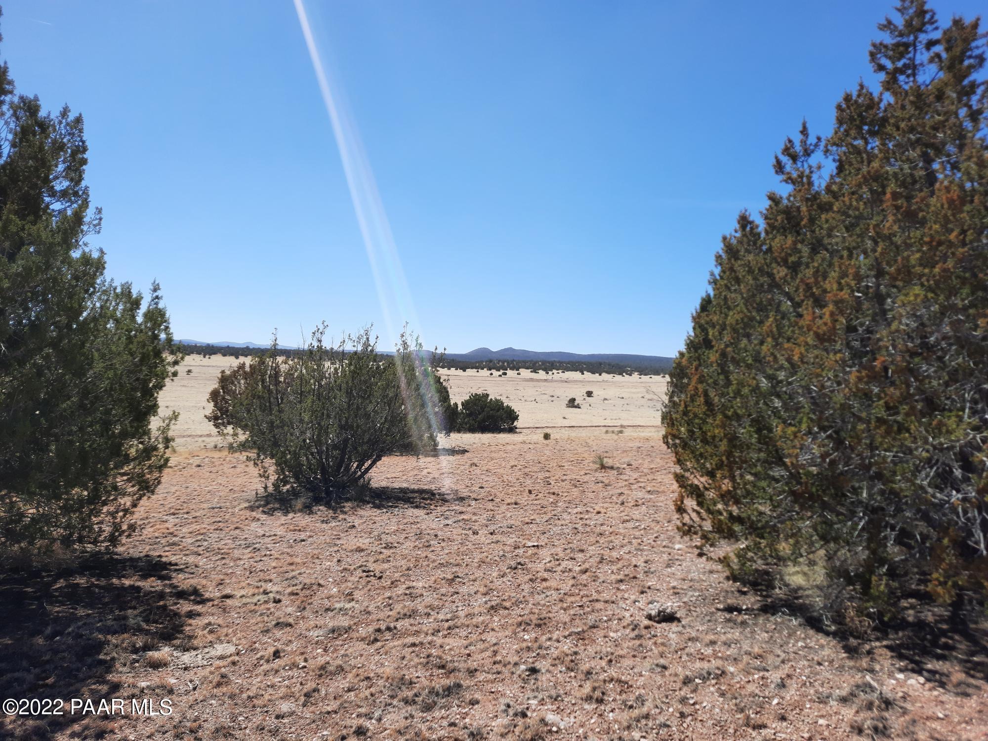 Lot 98 Bucks Road Seligman, AZ 86337 - Photo 5 of 16 20220315_115924