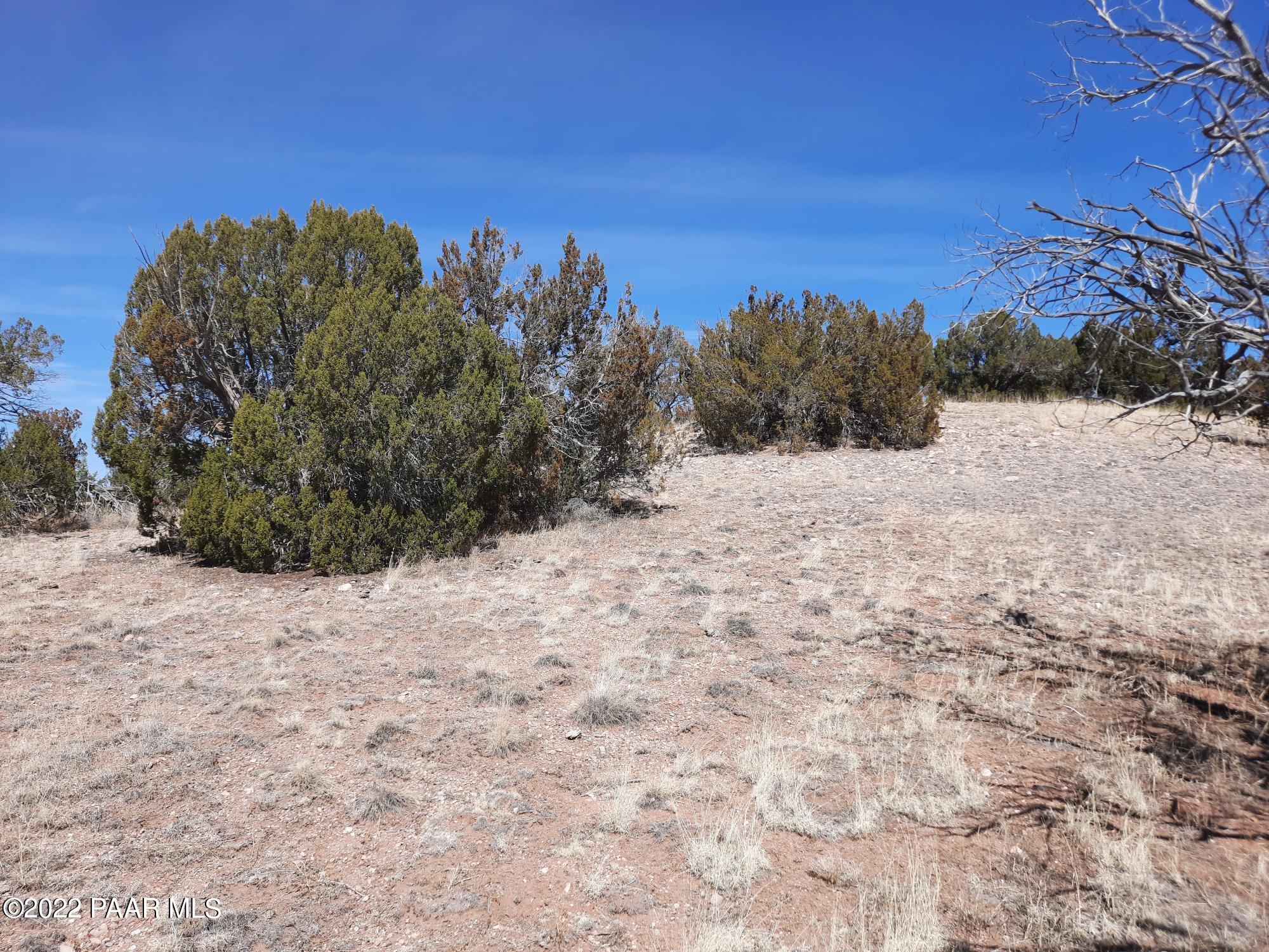 Lot 98 Bucks Road Seligman, AZ 86337 - Photo 7 of 16 20220315_120018