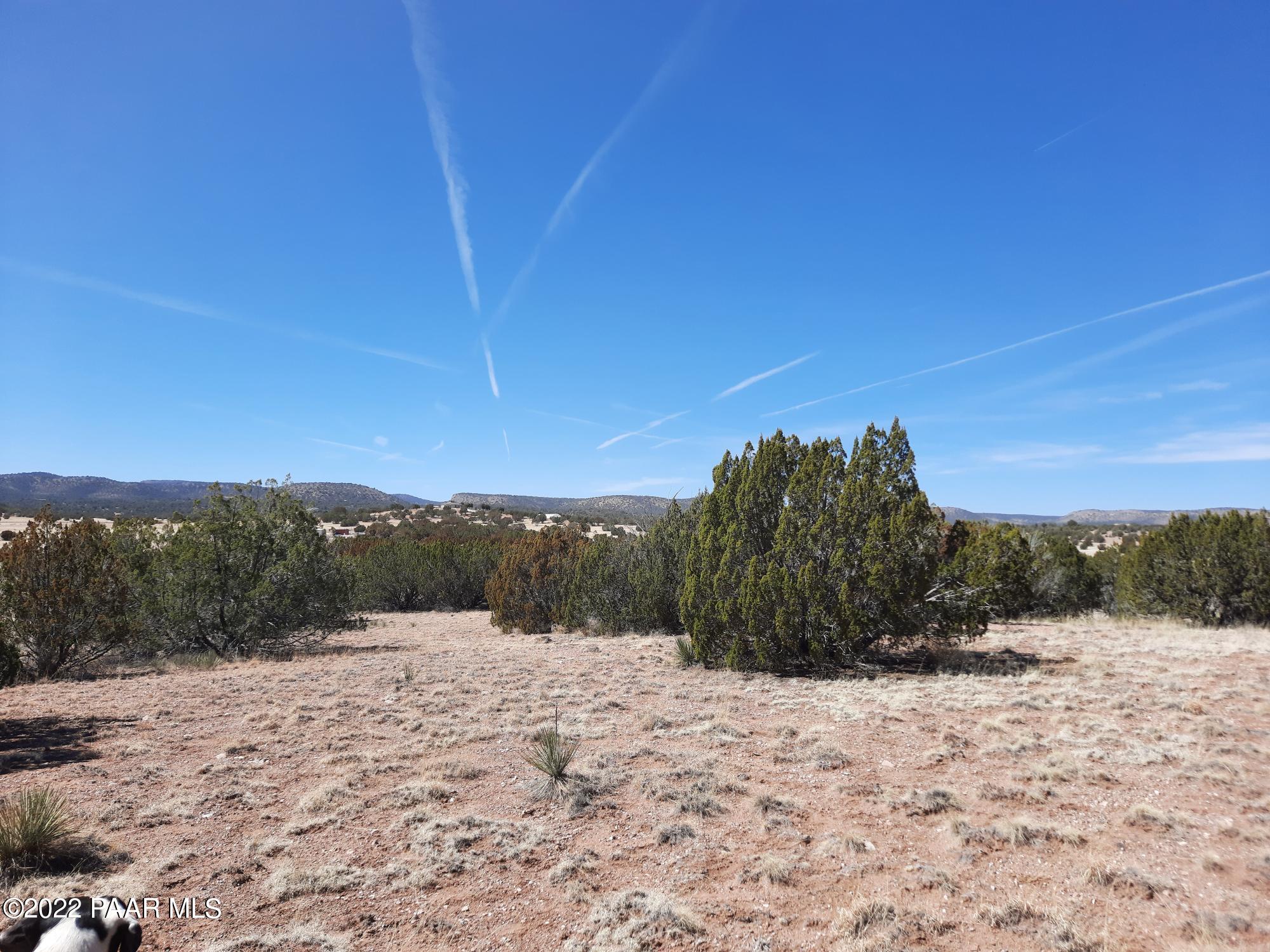 Lot 98 Bucks Road Seligman, AZ 86337 - Photo 8 of 16 20220315_120040