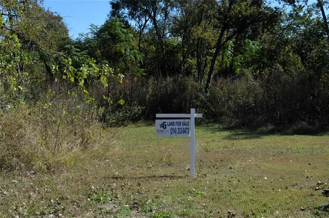 a view of a back yard