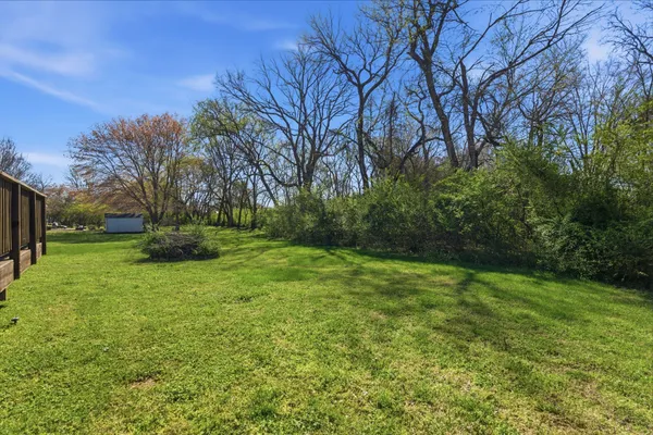 a view of backyard with green space