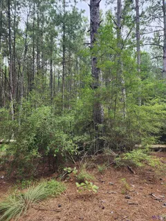 $365,925 | 1745 Wardline Road, Greensburg, LA 70441