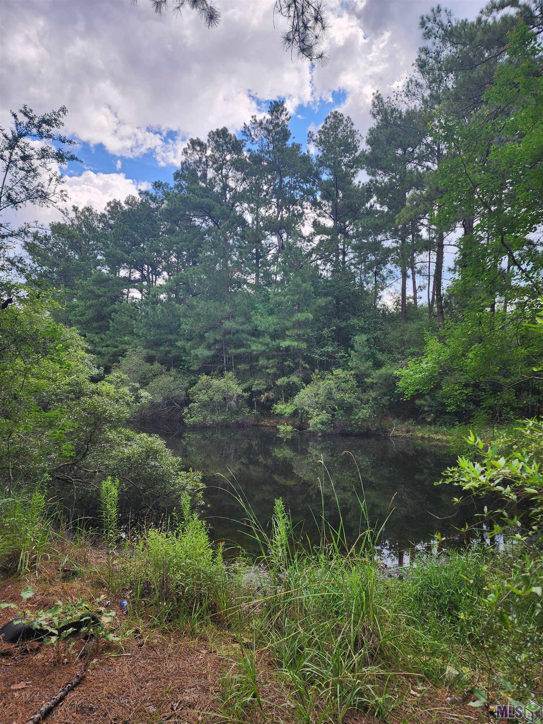 1745 Wardline Road Greensburg, LA 70441 - Photo 4 of 5