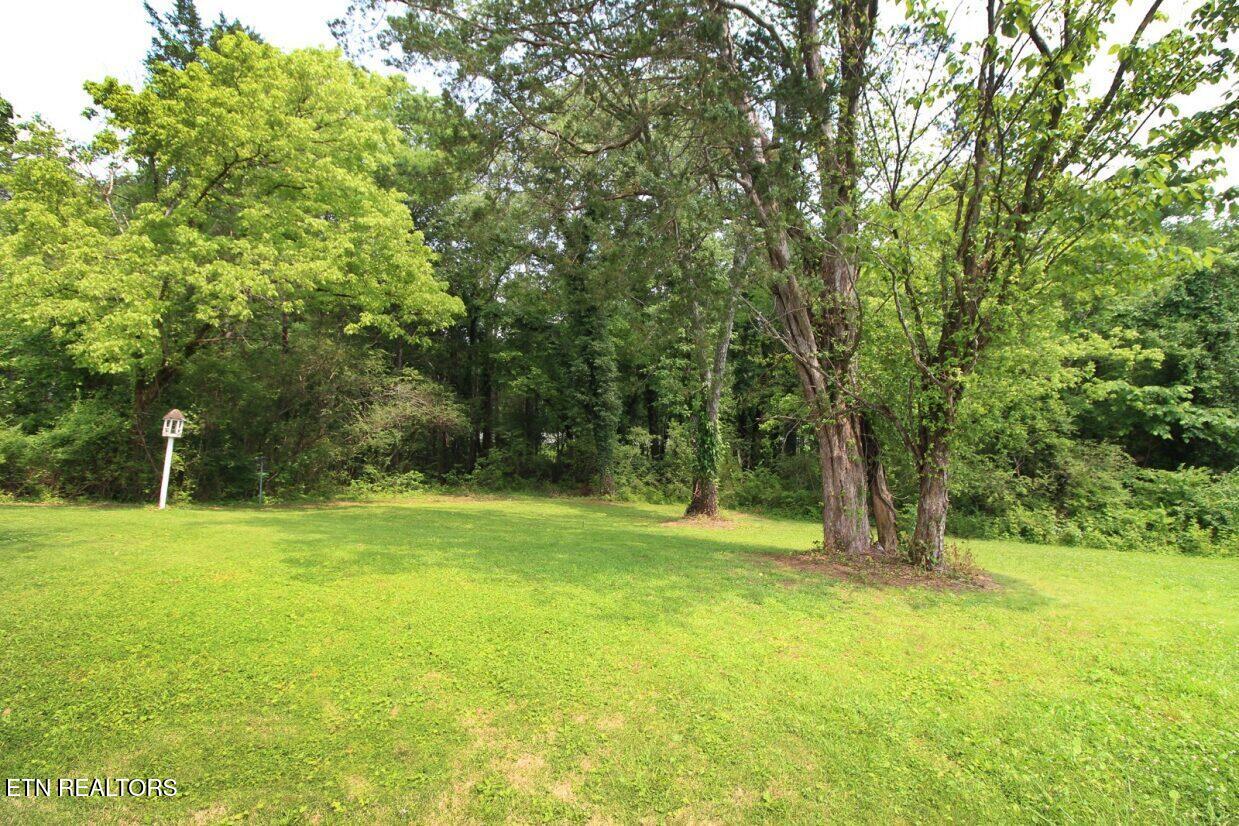 119 Briar Road Oak Ridge, TN 37830 - Photo 10 of 25 backyard - Copy