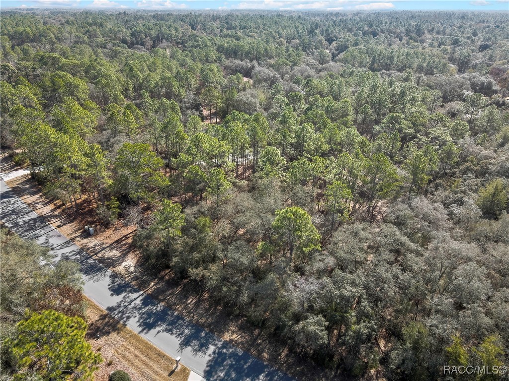 3905 North Longvalley Road Hernando, FL 34442 - Photo 4 of 12