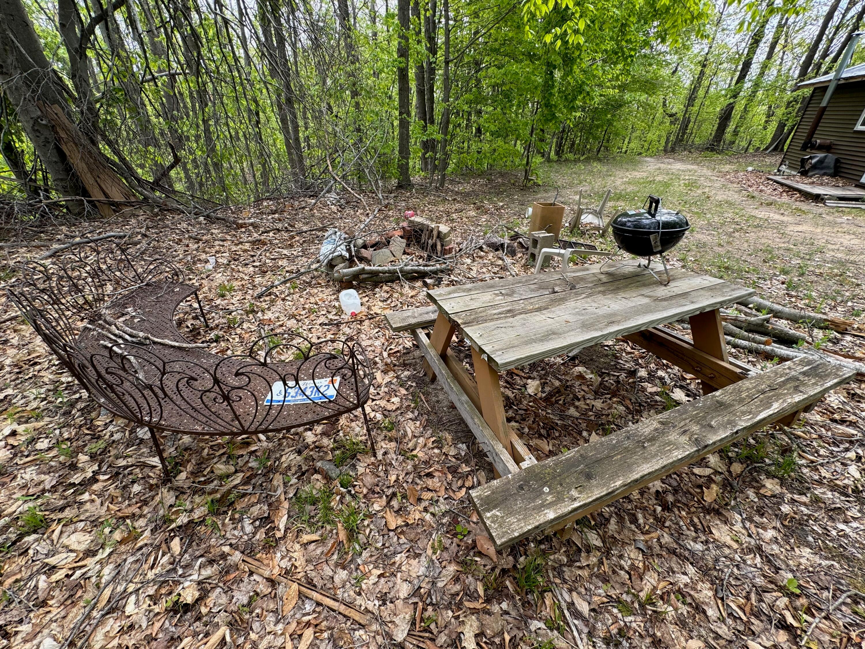 568 East Alexander Road Vanderbilt, MI 49795 - Photo 31 of 53 Gallery Image 31