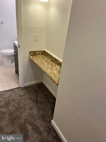 a bathroom with a sink and a toilet