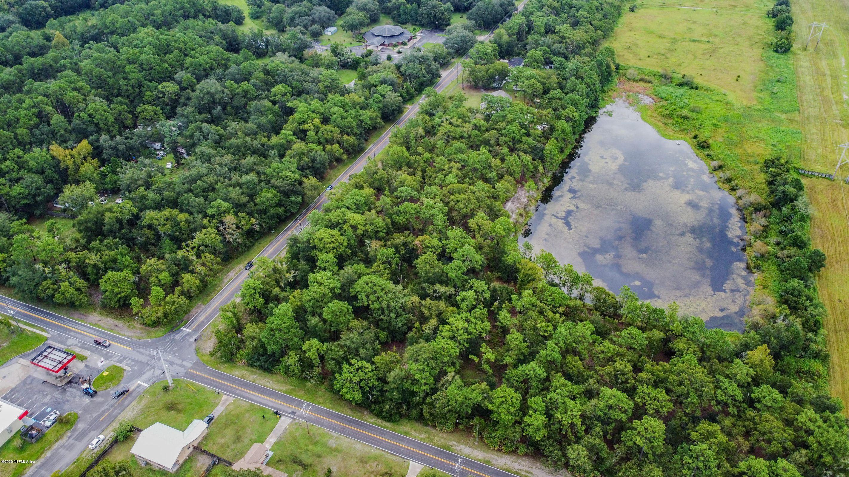 a view of a garden with plants