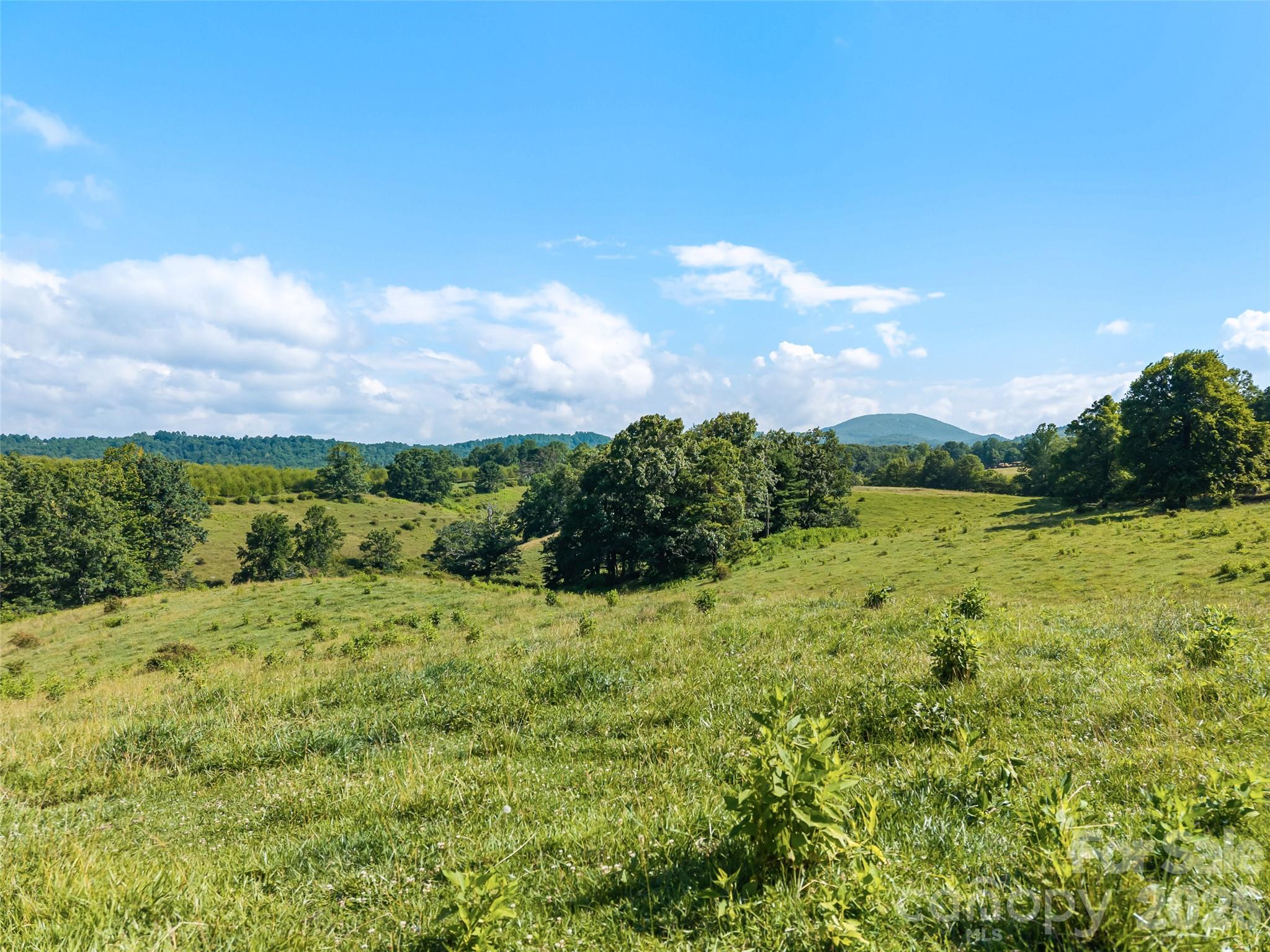 0 Summer Road, Unit 4 Hendersonville, NC 28792 - Photo 14 of 19 Gallery Image 14