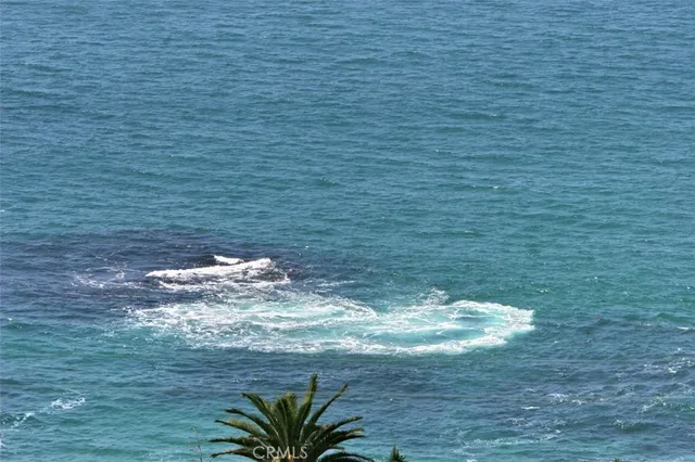 $10,000 | 30851 Marilyn Drive, Laguna Beach, CA 92651