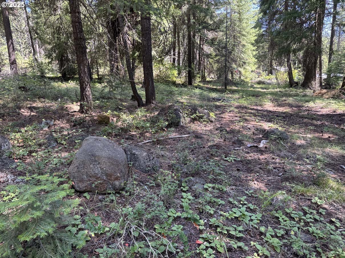 Rocky Point Road, Unit 40 Klamath Falls, OR 97601 - Photo 12 of 35 Gallery Image 12