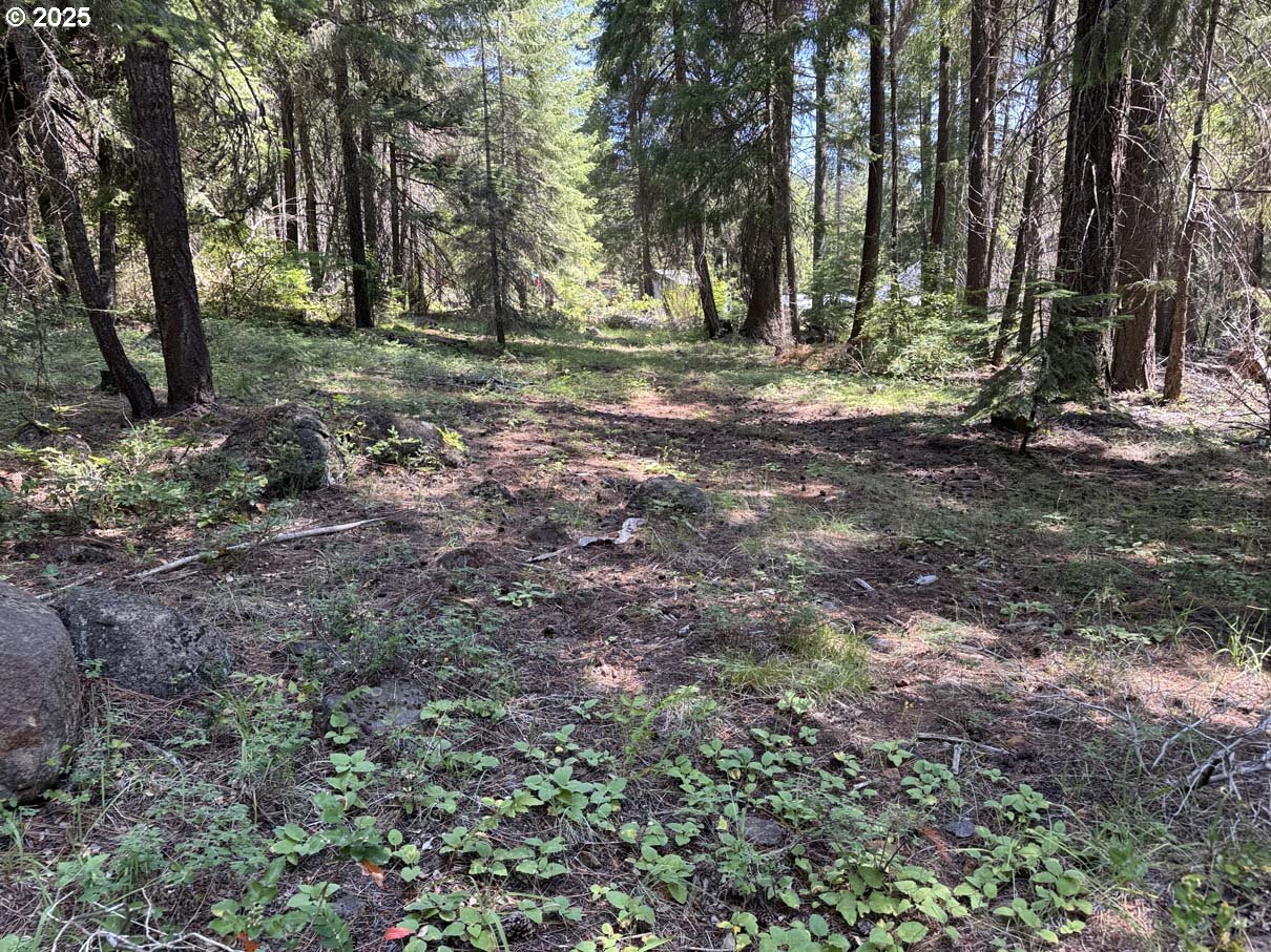 Rocky Point Road, Unit 40 Klamath Falls, OR 97601 - Photo 13 of 35 Gallery Image 13