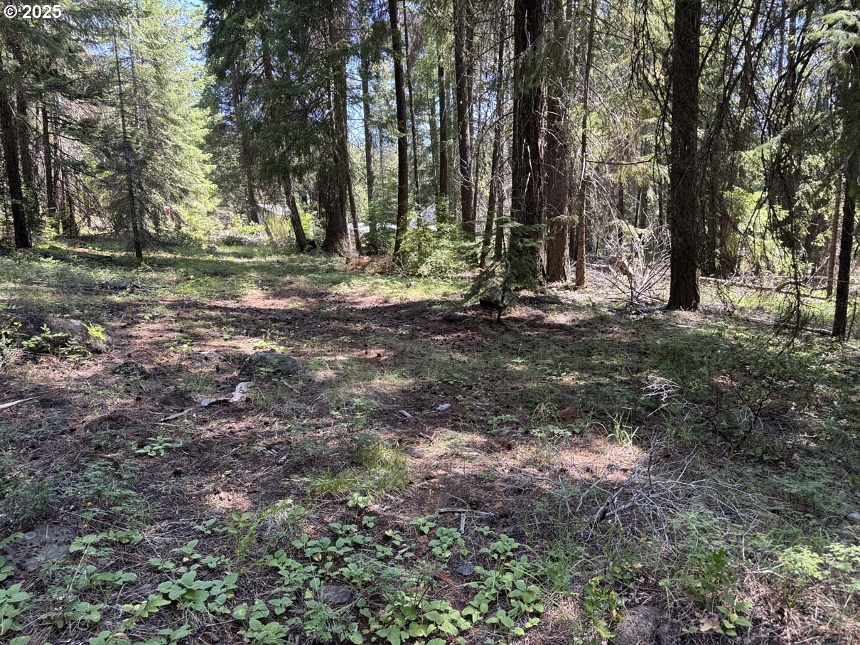 Rocky Point Road, Unit 40 Klamath Falls, OR 97601 - Photo 14 of 35 Gallery Image 14