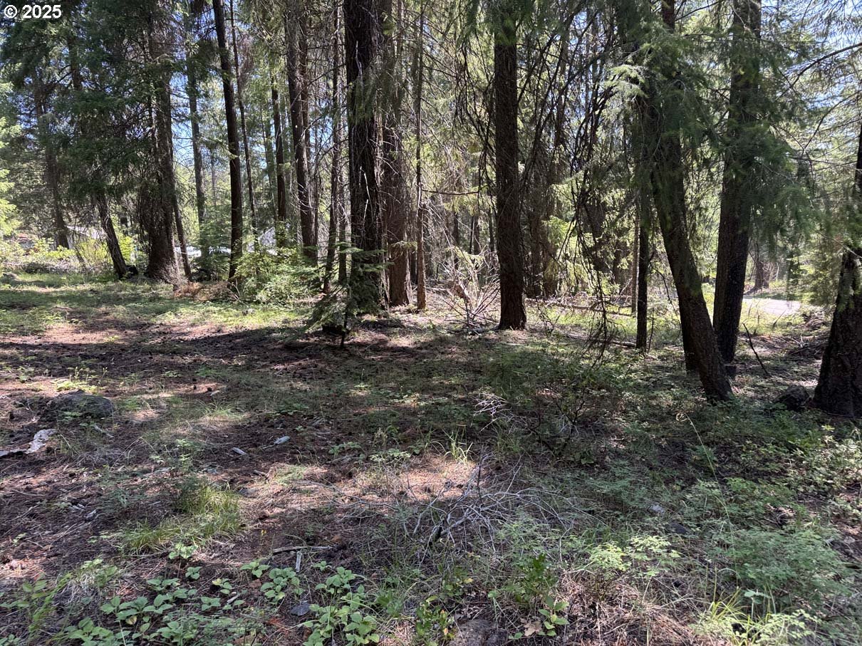Rocky Point Road, Unit 40 Klamath Falls, OR 97601 - Photo 15 of 35 Gallery Image 15