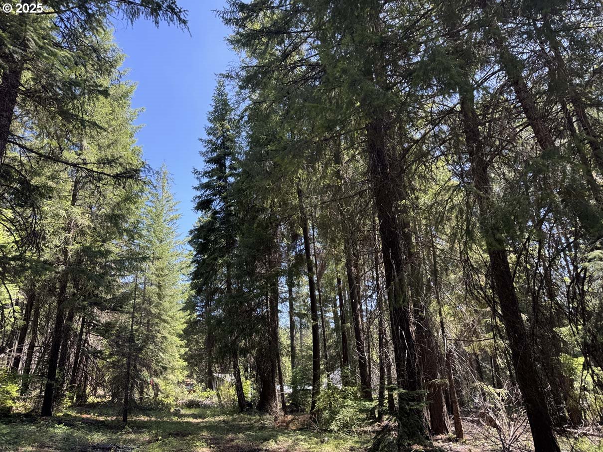 Rocky Point Road, Unit 40 Klamath Falls, OR 97601 - Photo 16 of 35 Gallery Image 16