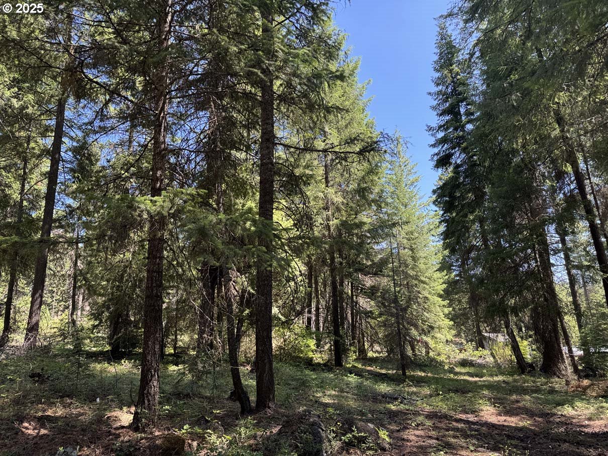 Rocky Point Road, Unit 40 Klamath Falls, OR 97601 - Photo 17 of 35 Gallery Image 17