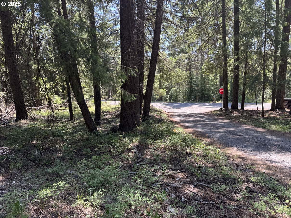 Rocky Point Road, Unit 40 Klamath Falls, OR 97601 - Photo 19 of 35 Gallery Image 19