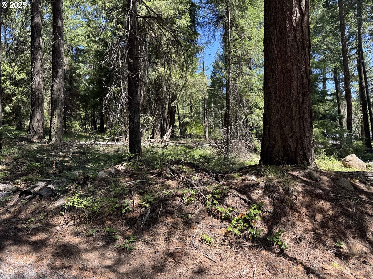 Rocky Point Road, Unit 40 Klamath Falls, OR 97601 - Photo 2 of 35 Gallery Image 2