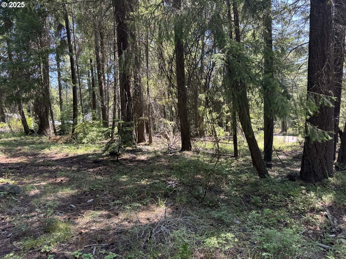 Rocky Point Road, Unit 40 Klamath Falls, OR 97601 - Photo 21 of 35 Gallery Image 21
