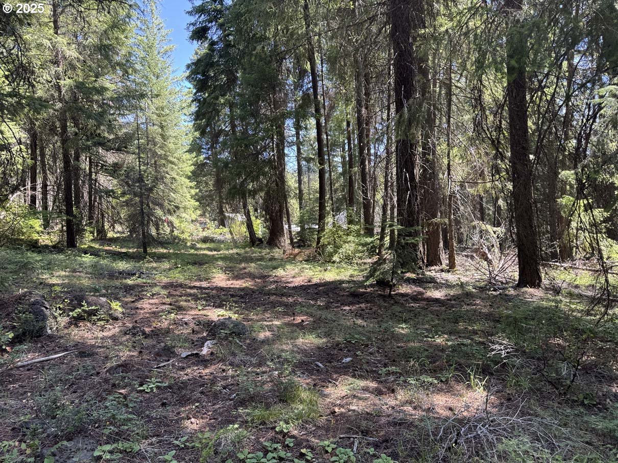 Rocky Point Road, Unit 40 Klamath Falls, OR 97601 - Photo 22 of 35 Gallery Image 22