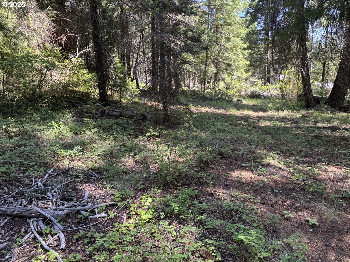 Rocky Point Road, Unit 40 Klamath Falls, OR 97601 - Photo 23 of 35 Gallery Image 23