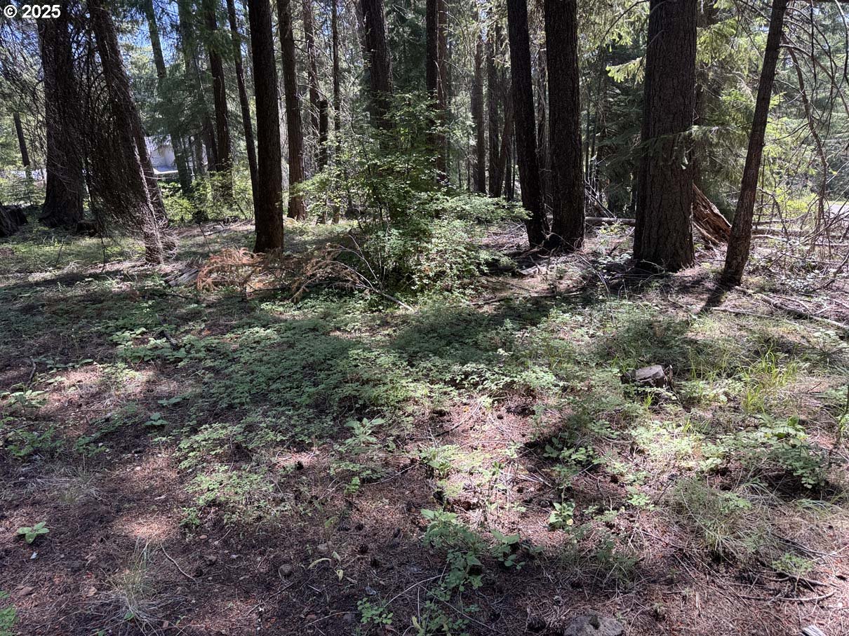 Rocky Point Road, Unit 40 Klamath Falls, OR 97601 - Photo 24 of 35 Gallery Image 24