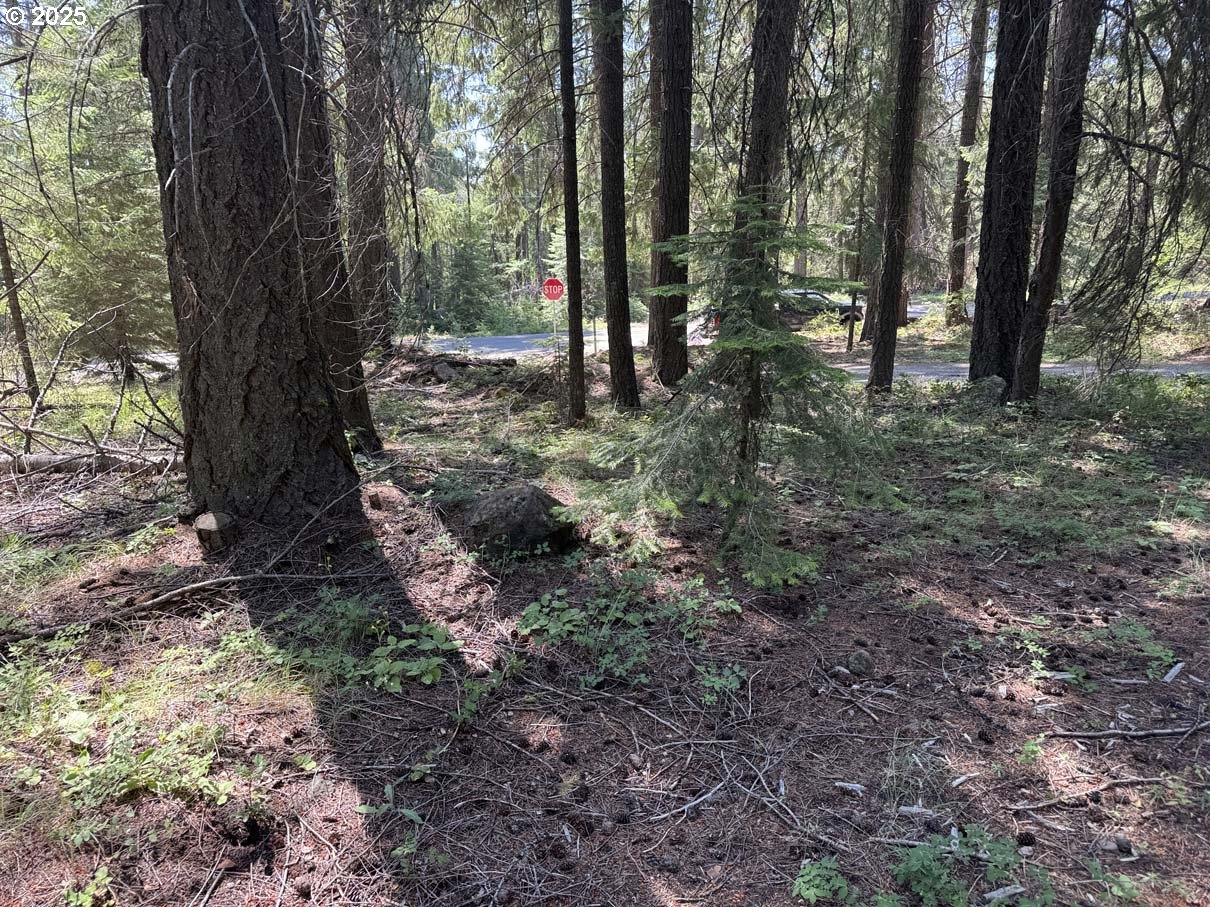 Rocky Point Road, Unit 40 Klamath Falls, OR 97601 - Photo 25 of 35 Gallery Image 25
