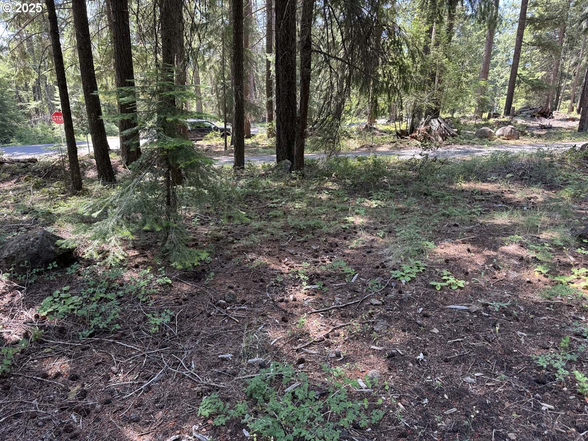 Rocky Point Road, Unit 40 Klamath Falls, OR 97601 - Photo 26 of 35 Gallery Image 26
