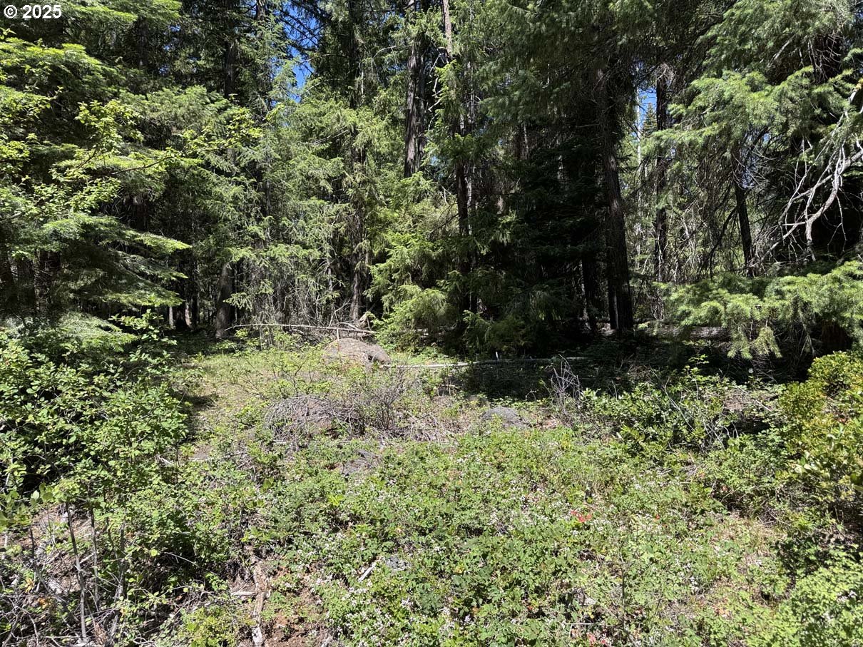 Rocky Point Road, Unit 40 Klamath Falls, OR 97601 - Photo 27 of 35 Gallery Image 27