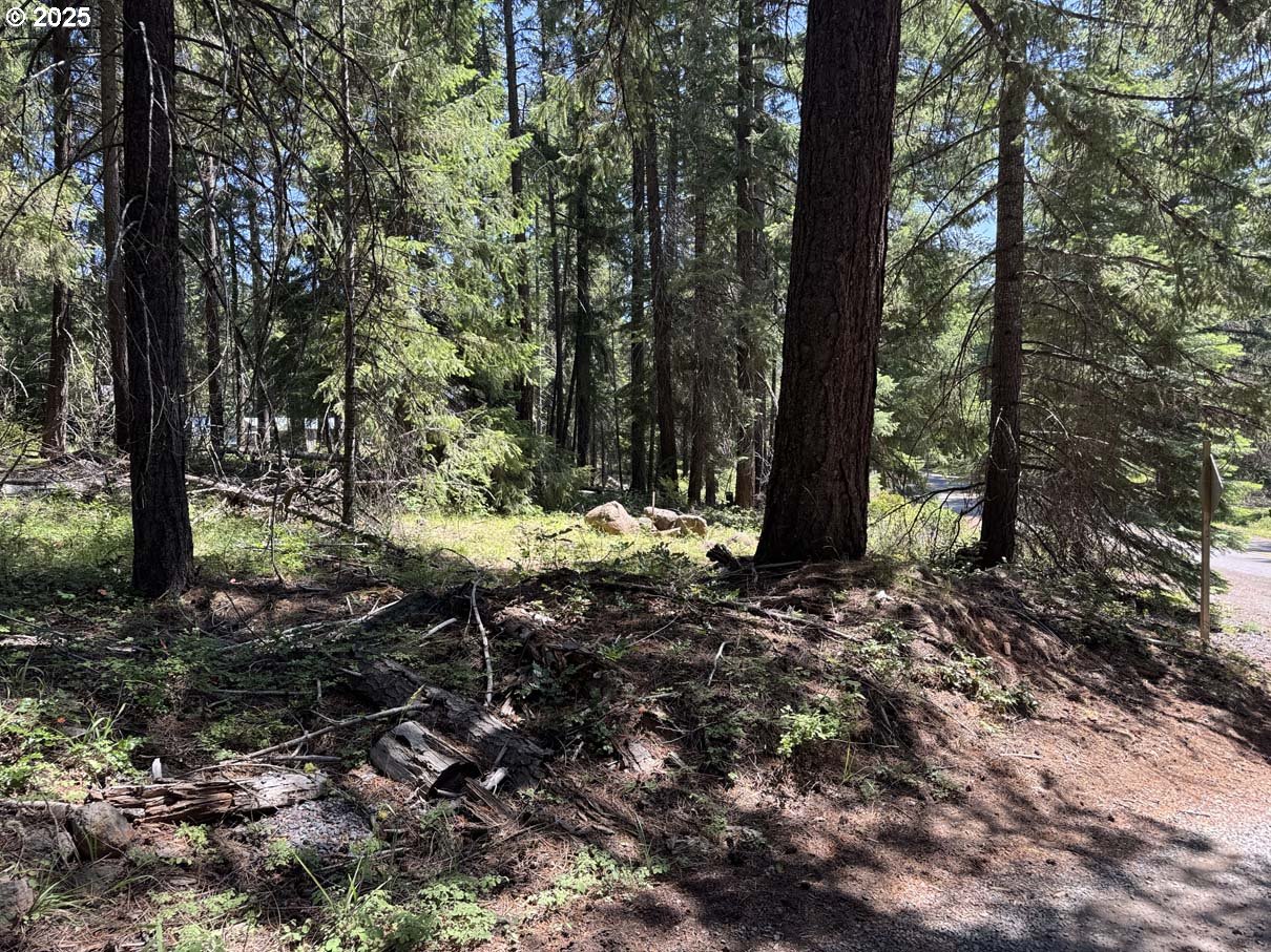 Rocky Point Road, Unit 40 Klamath Falls, OR 97601 - Photo 5 of 35 Gallery Image 5