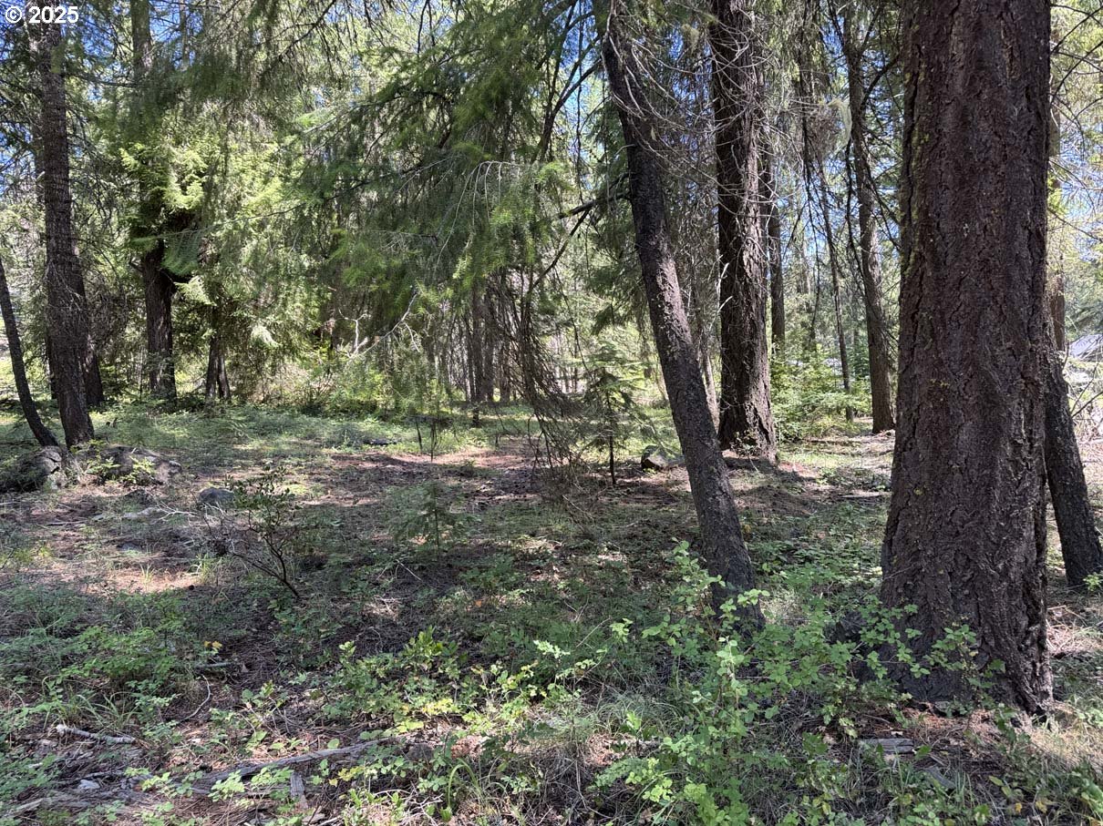 Rocky Point Road, Unit 40 Klamath Falls, OR 97601 - Photo 6 of 35 Gallery Image 6