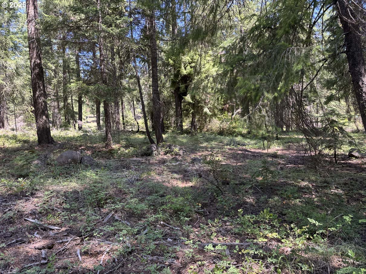 Rocky Point Road, Unit 40 Klamath Falls, OR 97601 - Photo 7 of 35 Gallery Image 7