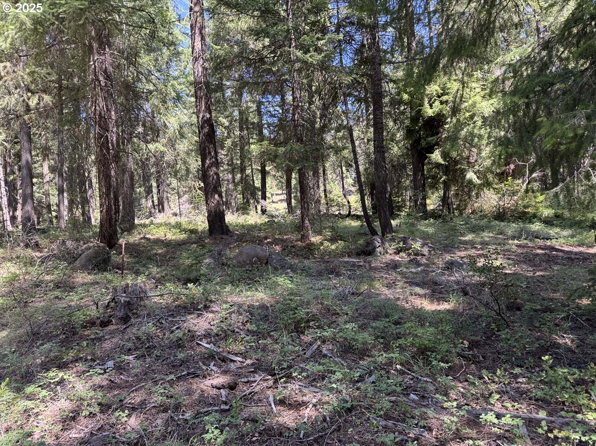 Rocky Point Road, Unit 40 Klamath Falls, OR 97601 - Photo 8 of 35 Gallery Image 8