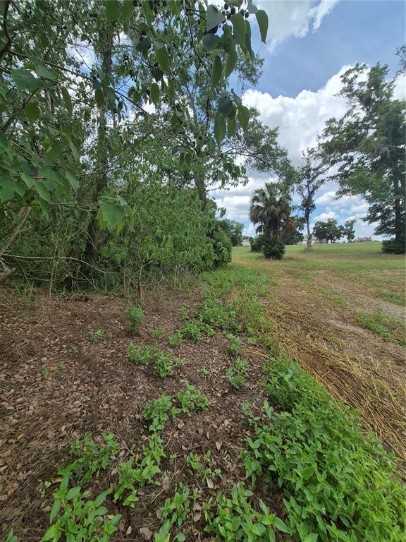 8748 Northeast Jacksonville Road Anthony, FL 32617 - Photo 2 of 9 a view of a field with large trees