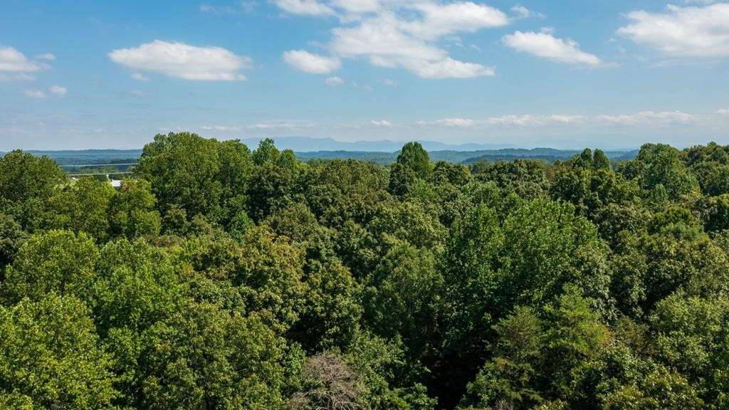 2 Dumplin Loop Road New Market, TN 37820 - Photo 7 of 7 Gallery Image 7