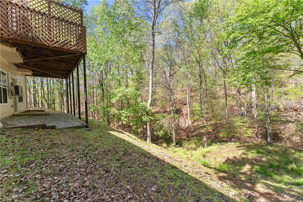 3656 Castle View Court Suwanee, GA 30024 - Photo 42 of 55