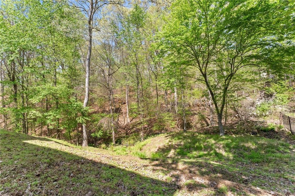 3656 Castle View Court Suwanee, GA 30024 - Photo 43 of 55