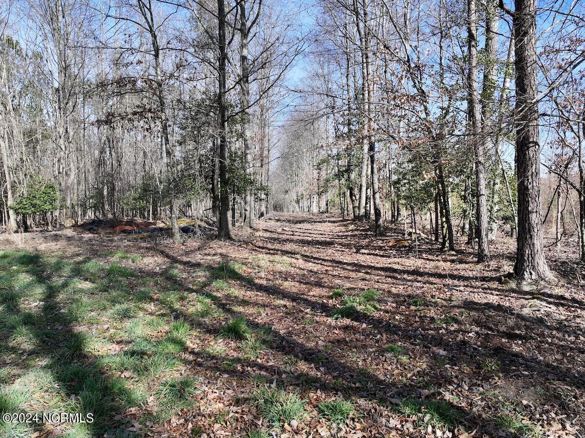 657 Collins Mill Road Castalia, NC 27816 - Photo 75 of 148 DJI_20240220142149_0856_D