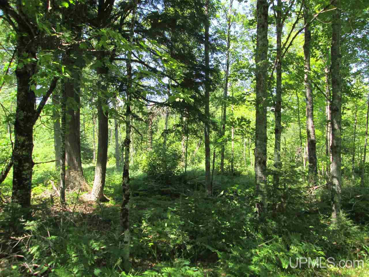 Tbd Ff 3940 Road Iron River, MI 49935 - Photo 5 of 10