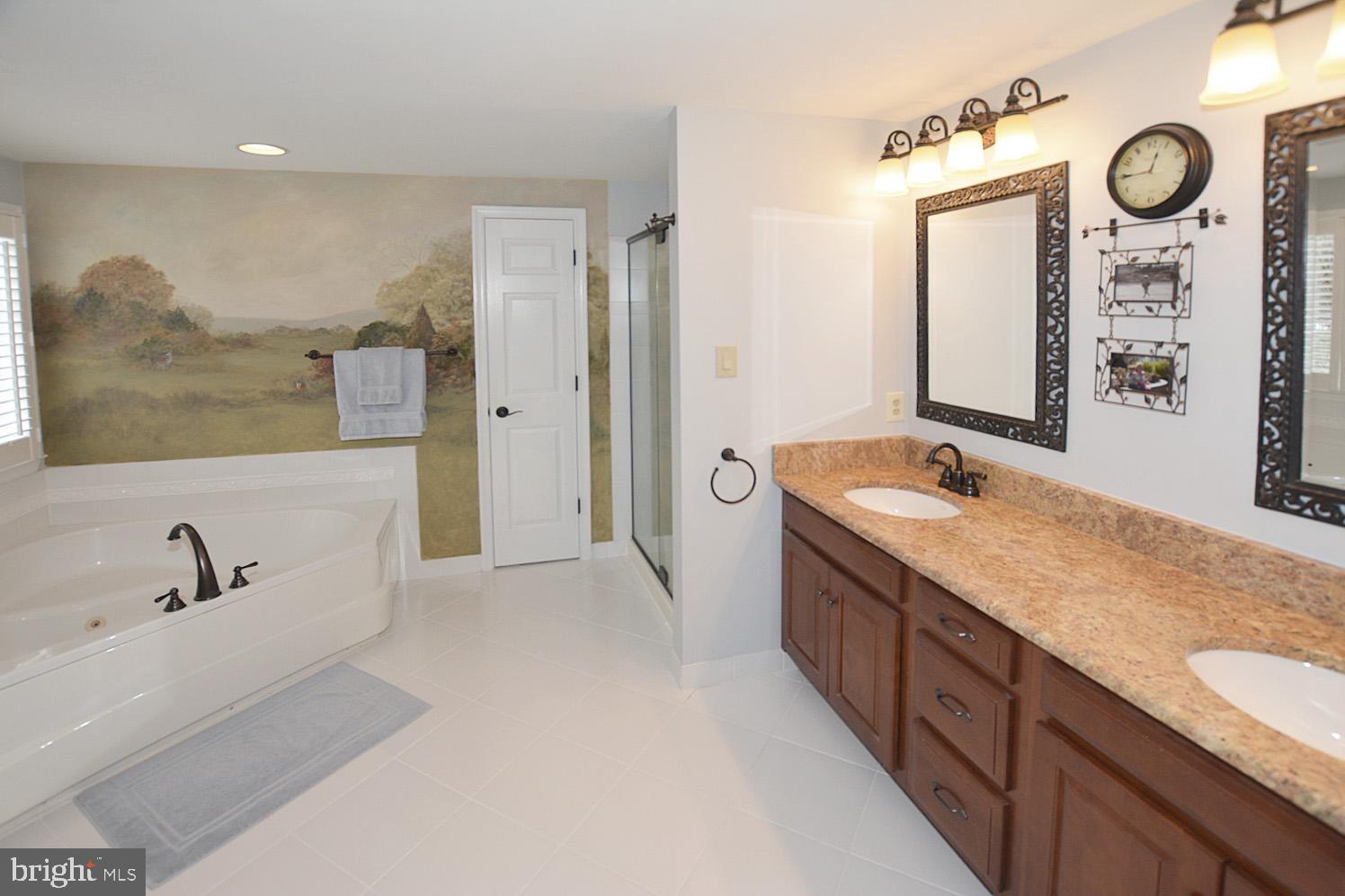 9963 Meadowlark Road Vienna, VA 22182 - Photo 23 of 39 Master Bath